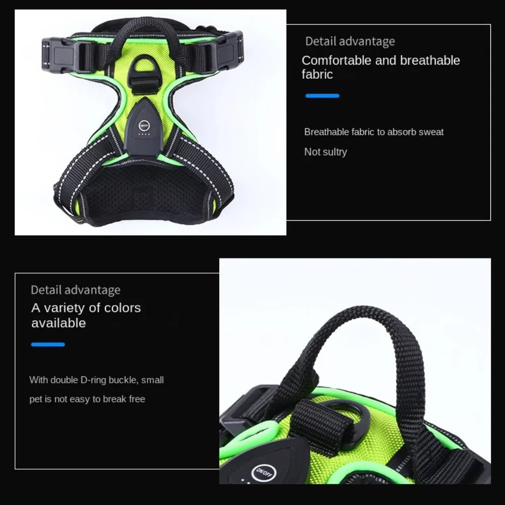 Light - up LED dog harnesses are perfect to sell as a safety and style accessory for night walks, because they keep dogs highly visible while staying comfortable and rechargeable for daily use. - Luxempirez