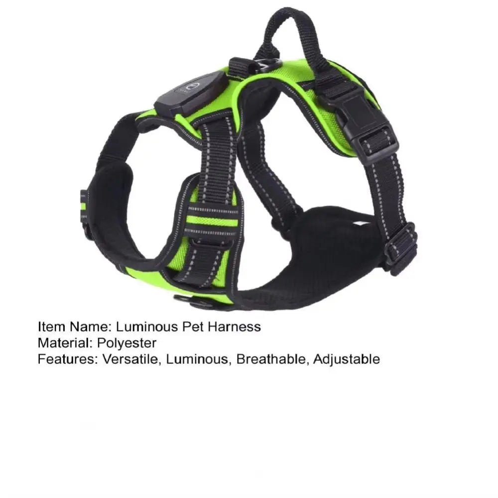 Light - up LED dog harnesses are perfect to sell as a safety and style accessory for night walks, because they keep dogs highly visible while staying comfortable and rechargeable for daily use. - Luxempirez