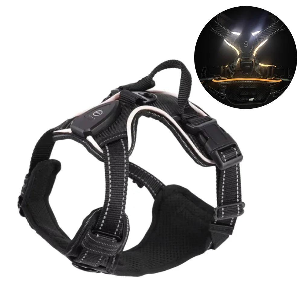 Light - up LED dog harnesses are perfect to sell as a safety and style accessory for night walks, because they keep dogs highly visible while staying comfortable and rechargeable for daily use. - Luxempirez
