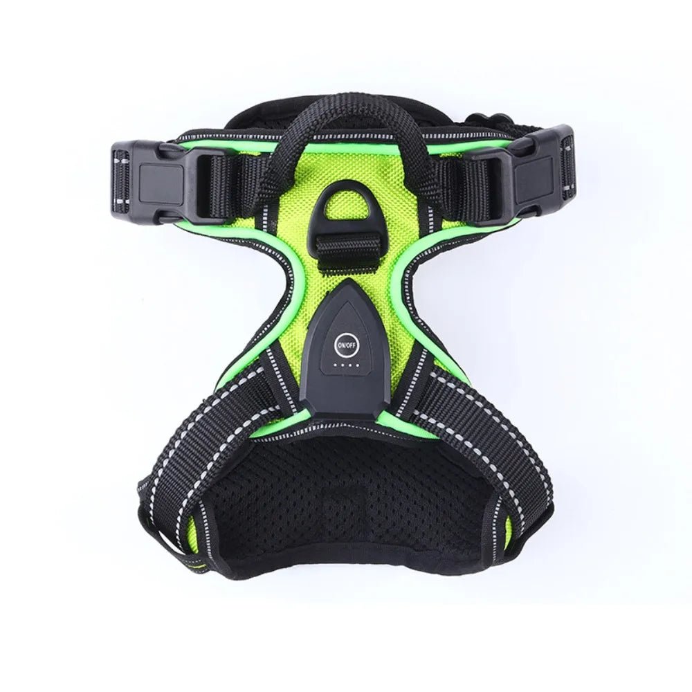 Light - up LED dog harnesses are perfect to sell as a safety and style accessory for night walks, because they keep dogs highly visible while staying comfortable and rechargeable for daily use. - Luxempirez