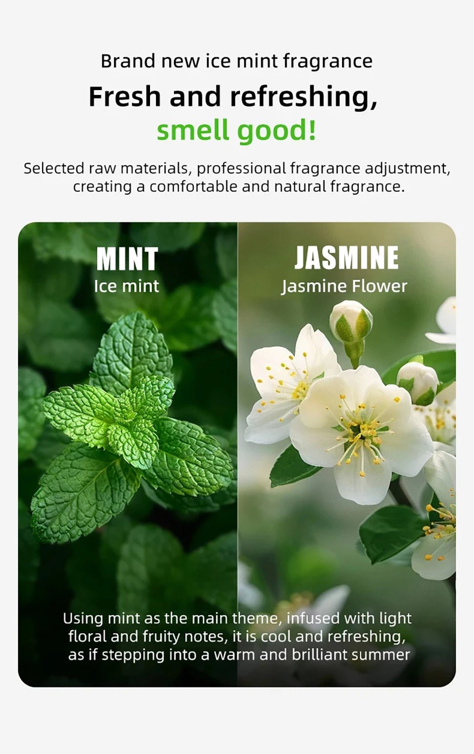 Les cubes désodorisants N50 gardent votre bac à litière PETKIT PURA MAX impeccablement frais grâce à un contrôle efficace des odeurs sans danger pour les animaux qui dure jusqu'à 30 jours par cube - Luxempirez