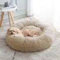Offer your four - legged companion an exquisite retreat with this premium calming dog bed where comfort meets elegance for pets who deserve the very best. Designed with plush, vegan faux fur and a generously deep sleeping area. - Luxempirez