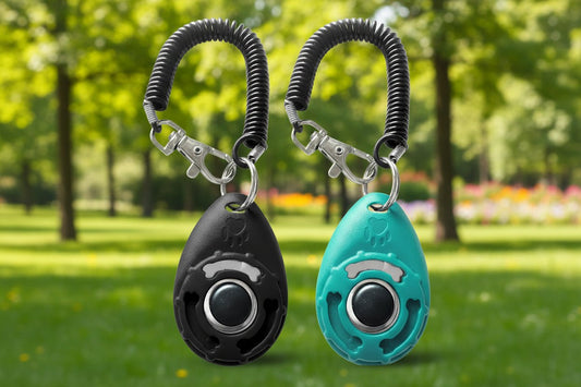 Clicker de dressage pour animaux de compagnie avec dragonne – outil indispensable pour rendre le dressage de votre chien plus facile, plus rapide et plus amusant pour vous et votre animal de compagnie. - Luxempirez