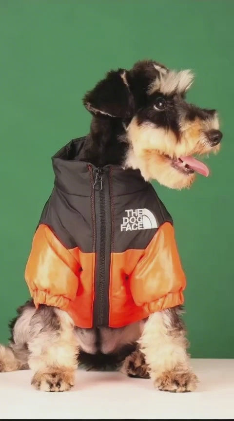 Elevate your dog's winter style with The Dog Face luxury jacket a statement piece for pet owners who demand the very best. Crafted with premium materials and an iconic two-tone design, this jacket combines warmth and water resistance