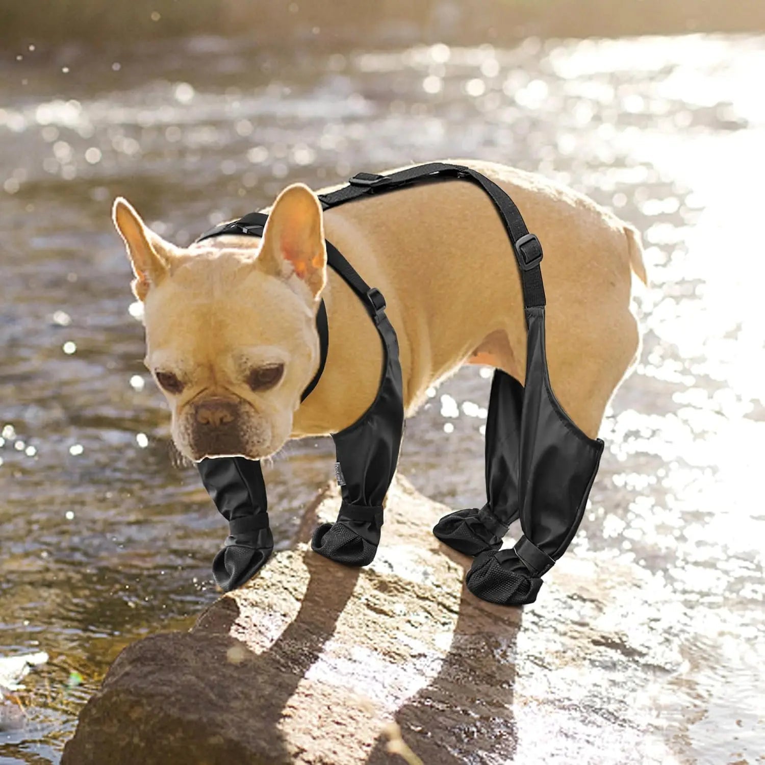 Protect your dog's paws from rain, snow, and rough terrain with these Adjustable Waterproof Dog Boots. Designed for outdoor hikes and winter walks, they keep pets safe and comfortable on any adventure. - Luxempirez