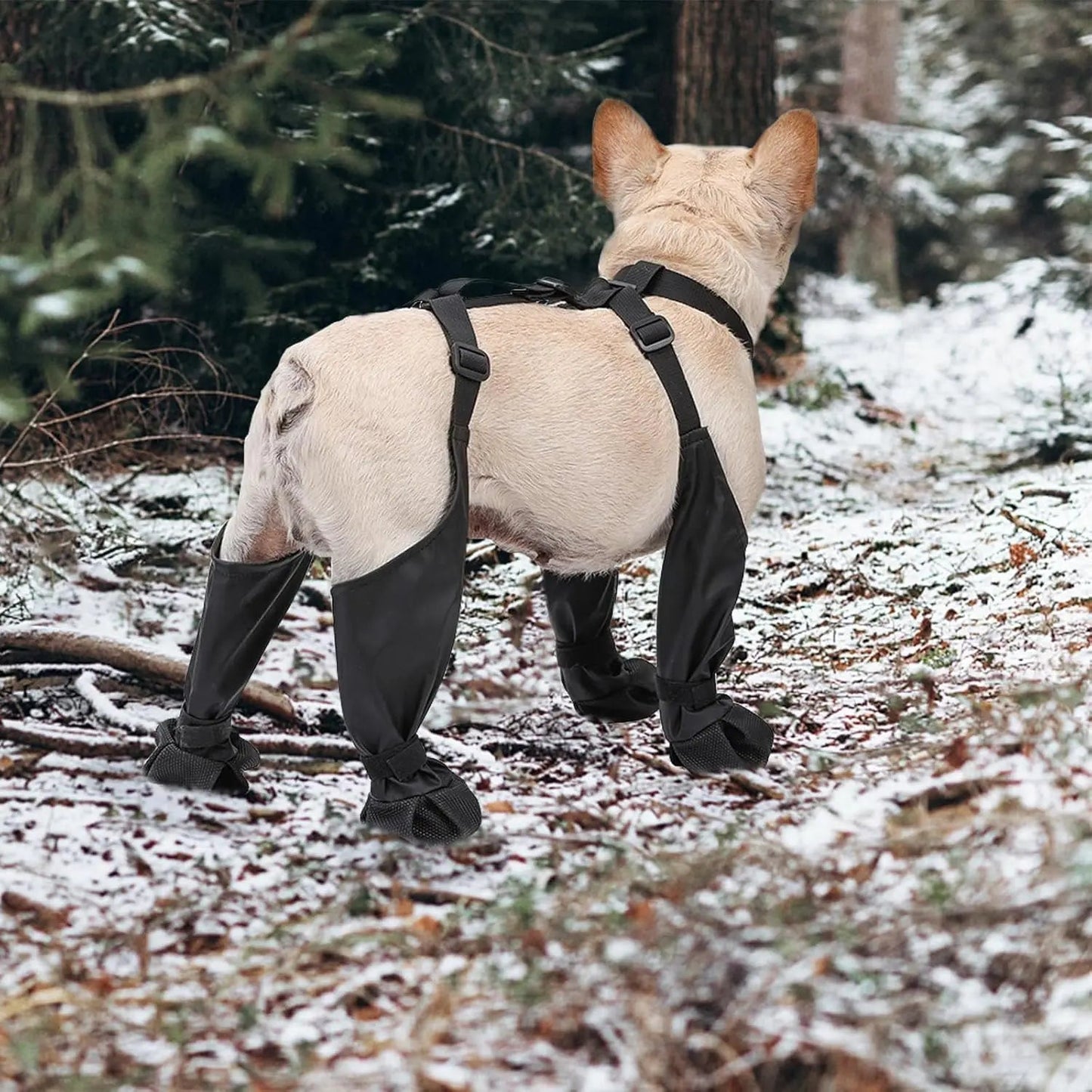 Protect your dog's paws from rain, snow, and rough terrain with these Adjustable Waterproof Dog Boots. Designed for outdoor hikes and winter walks, they keep pets safe and comfortable on any adventure. - Luxempirez