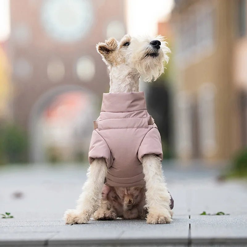 Protect your pup from rain, wind, and cold with this insulated high‑neck dog coat. The waterproof outer layer, soft cotton lining, and reflective details keep your dog comfortable and easy to spot during early - morning or late‑evening walks. - Luxempirez