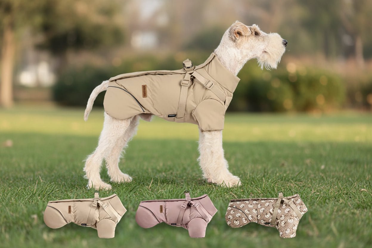 Protect your pup from rain, wind, and cold with this insulated high‑neck dog coat. The waterproof outer layer, soft cotton lining, and reflective details keep your dog comfortable and easy to spot during early - morning or late‑evening walks. - Luxempirez