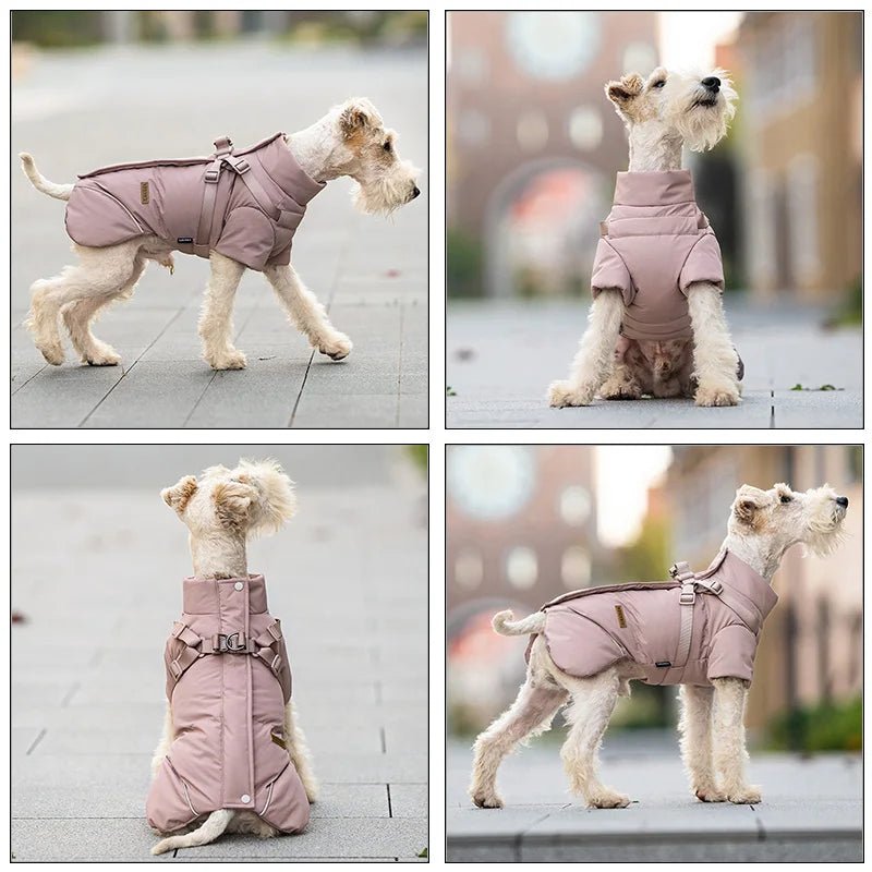 Protect your pup from rain, wind, and cold with this insulated high‑neck dog coat. The waterproof outer layer, soft cotton lining, and reflective details keep your dog comfortable and easy to spot during early - morning or late‑evening walks. - Luxempirez