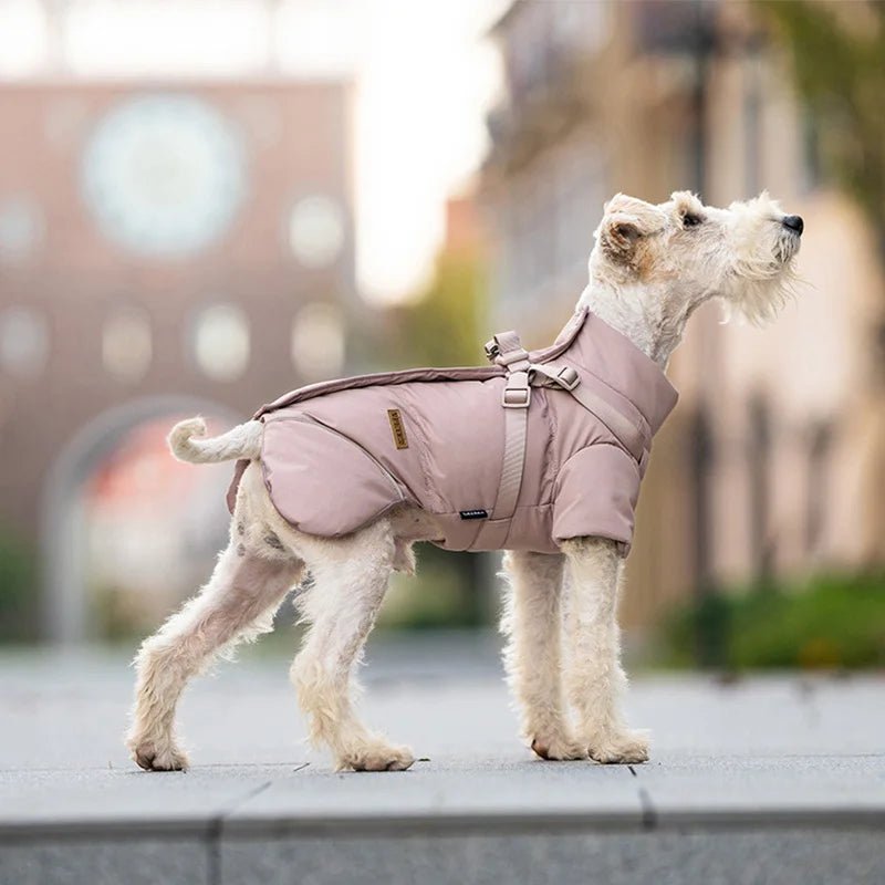 Protect your pup from rain, wind, and cold with this insulated high‑neck dog coat. The waterproof outer layer, soft cotton lining, and reflective details keep your dog comfortable and easy to spot during early - morning or late‑evening walks. - Luxempirez