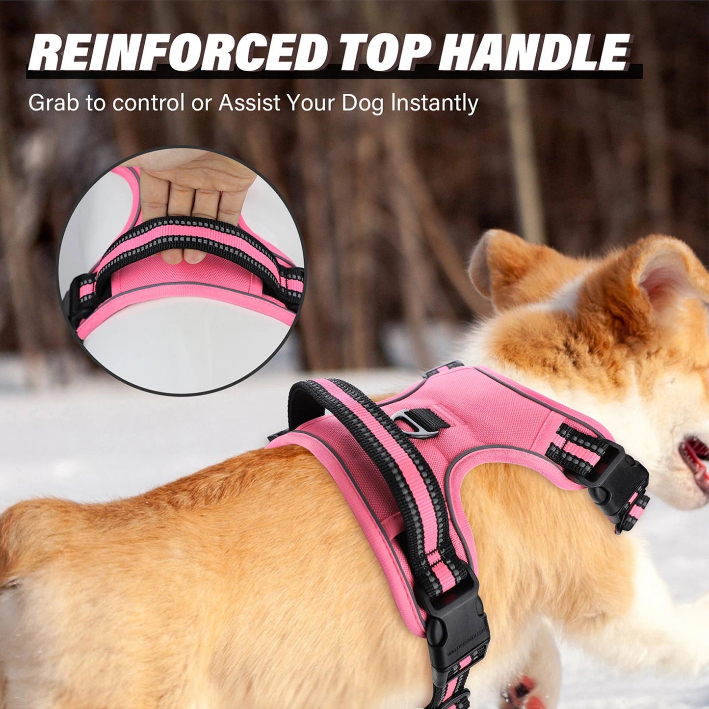 Reflective dog harness and leash set designed to keep dogs safe, comfortable, and under control during daily walks. - Luxempirez