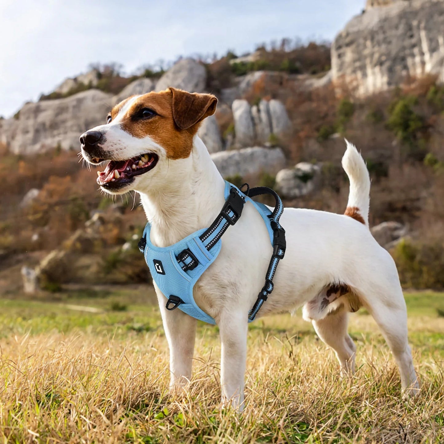 Reflective dog harness and leash set designed to keep dogs safe, comfortable, and under control during daily walks. - Luxempirez