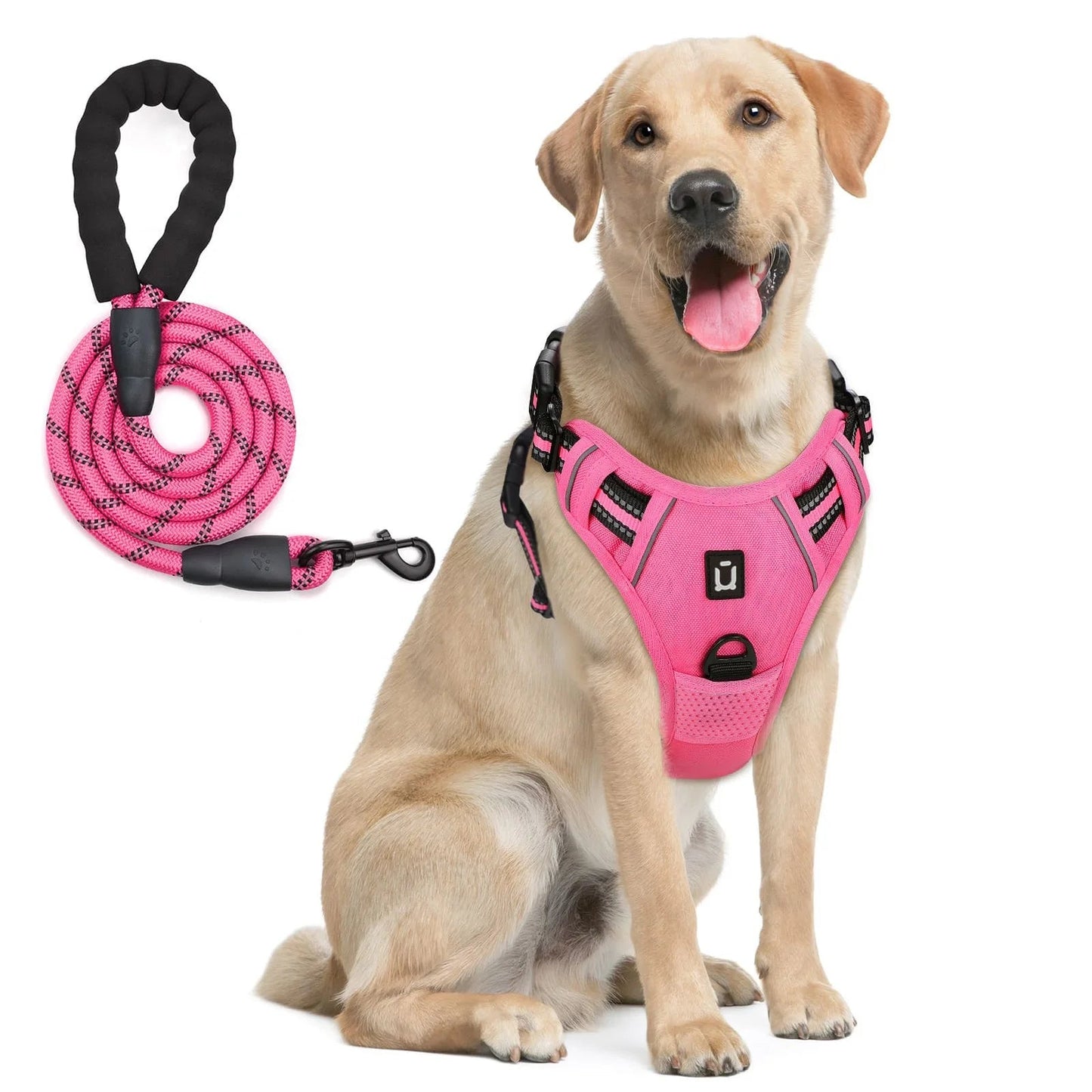 Reflective dog harness and leash set designed to keep dogs safe, comfortable, and under control during daily walks. - Luxempirez