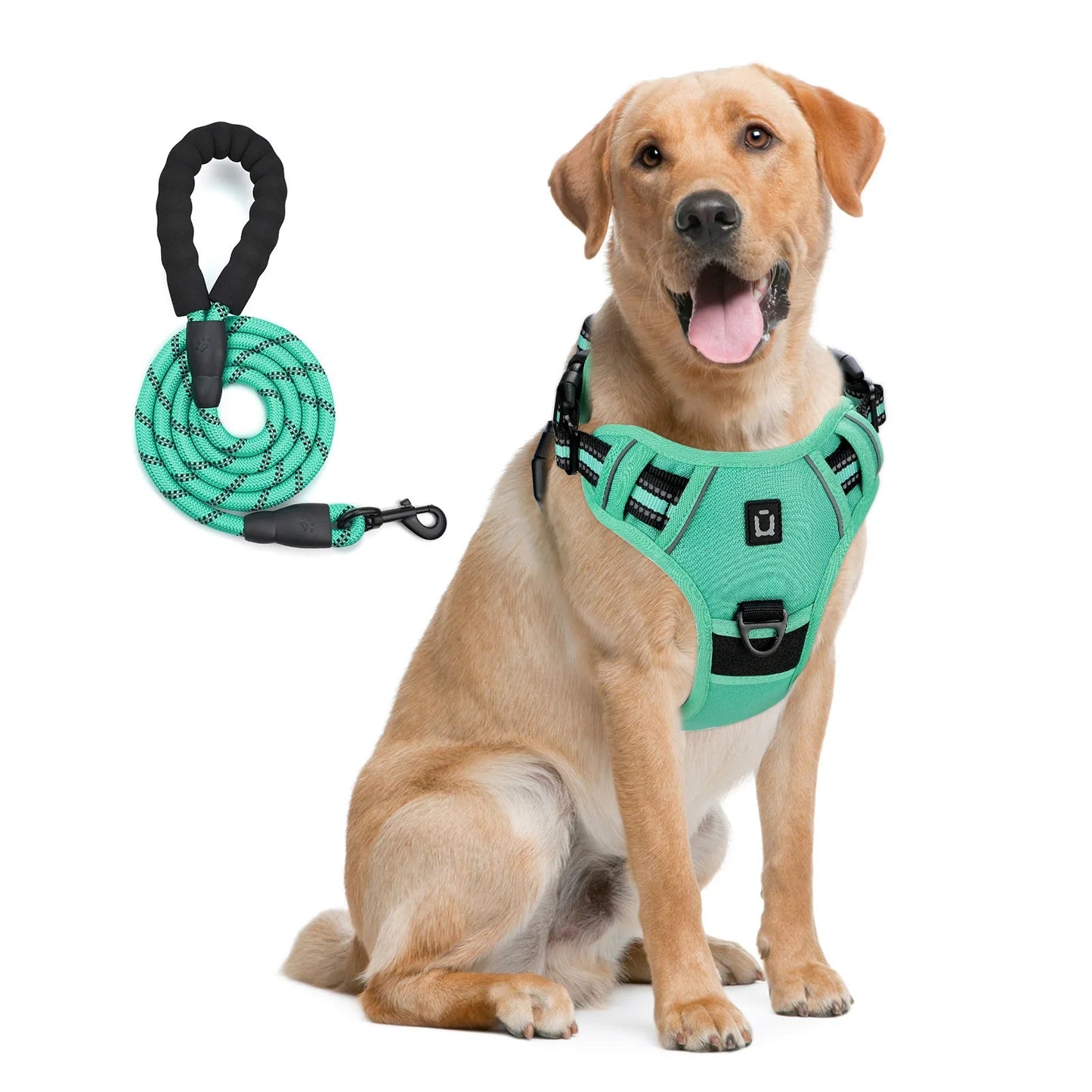 Reflective dog harness and leash set designed to keep dogs safe, comfortable, and under control during daily walks. - Luxempirez