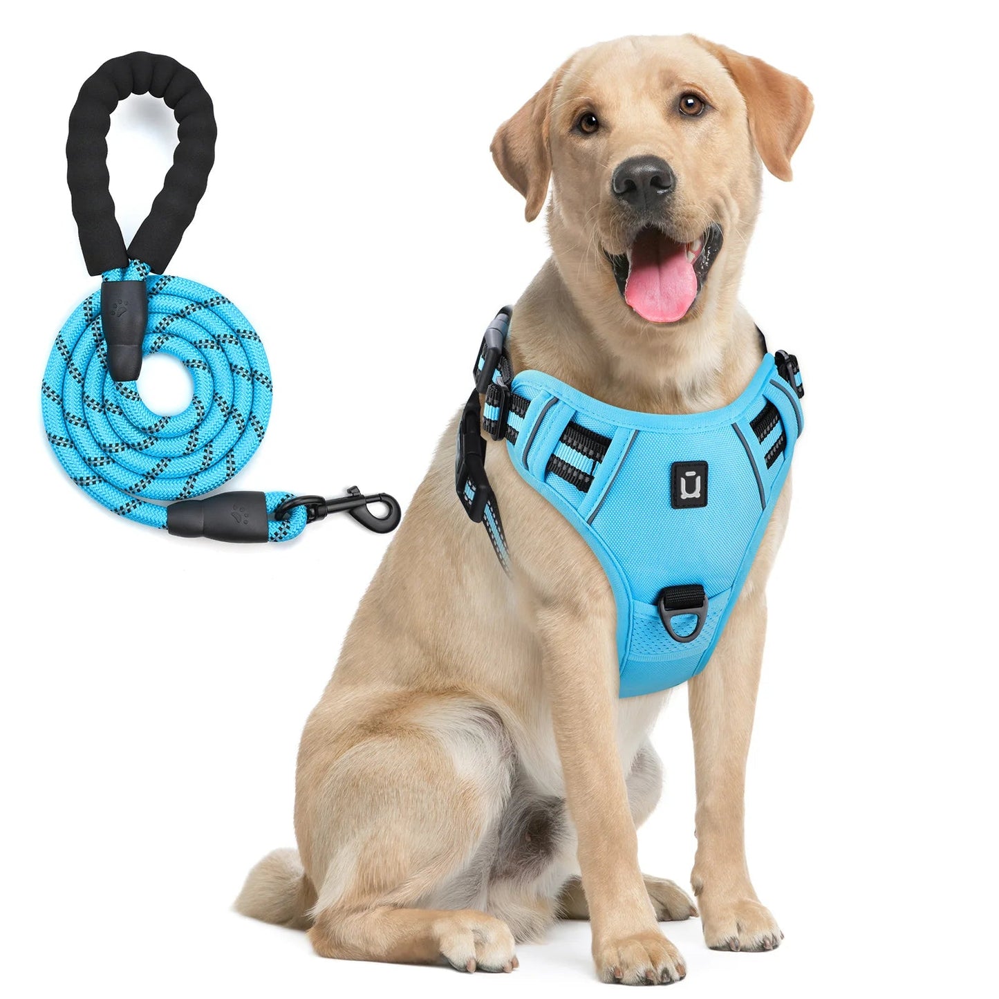 Reflective dog harness and leash set designed to keep dogs safe, comfortable, and under control during daily walks. - Luxempirez