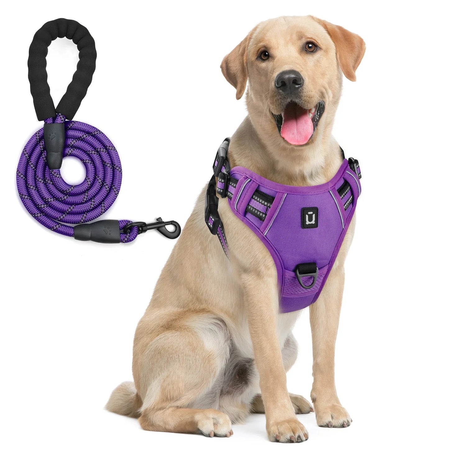 Reflective dog harness and leash set designed to keep dogs safe, comfortable, and under control during daily walks. - Luxempirez