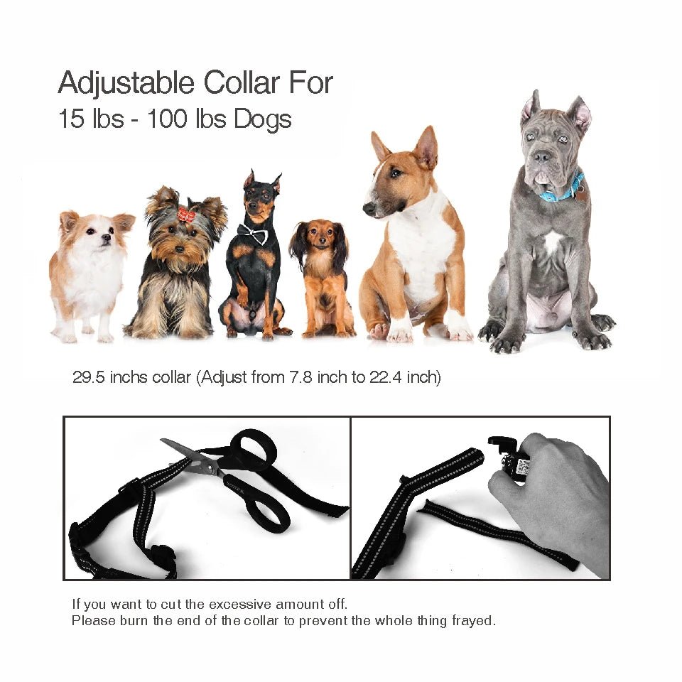 Collier de dressage à distance pour chien – Système étanche et rechargeable pour un contrôle sûr et efficace des aboiements et de l'obéissance. - Luxempirez
