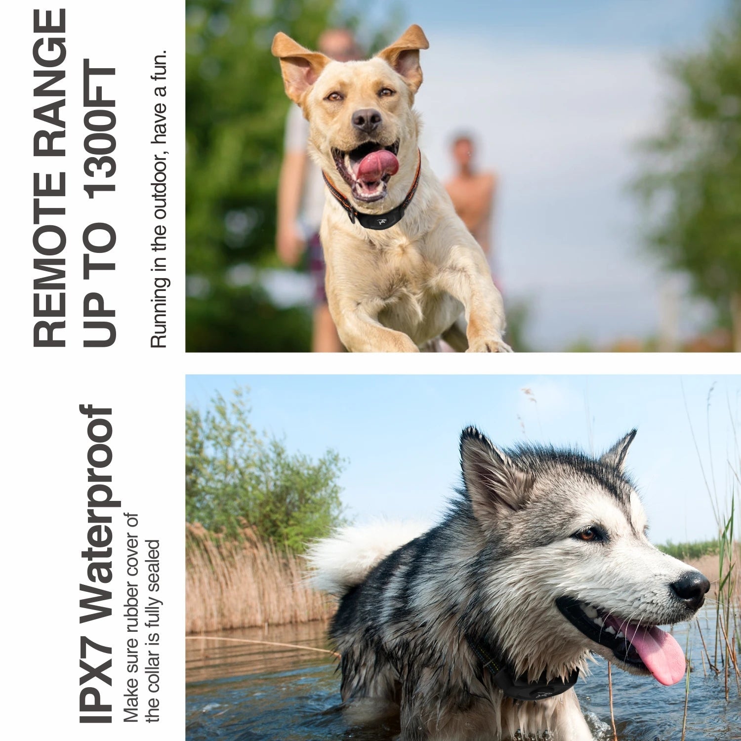 Collier de dressage à distance pour chien – Système étanche et rechargeable pour un contrôle sûr et efficace des aboiements et de l'obéissance. - Luxempirez