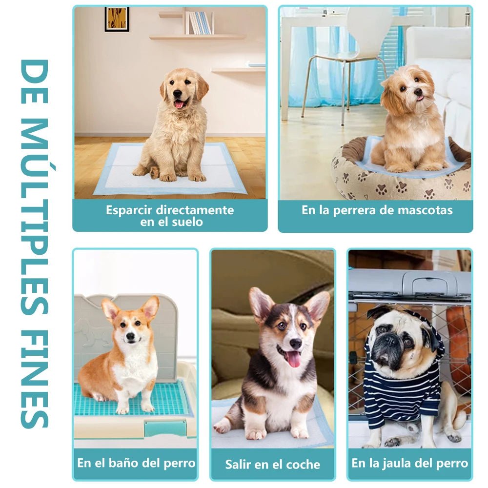 Smell & Smile Training Pads are ultra‑absorbent, leakproof pee pads designed to keep floors clean and help dogs and cats learn where to do their business. - Luxempirez