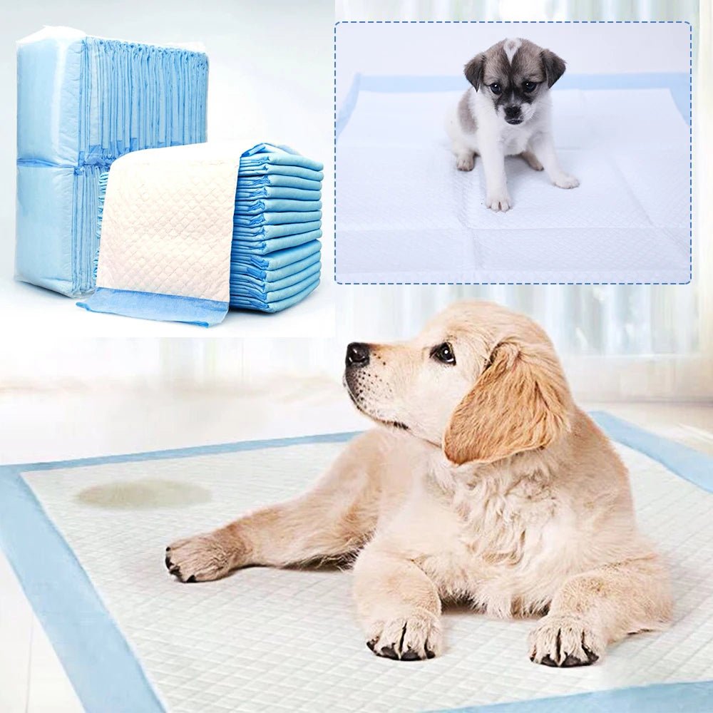 Smell & Smile Training Pads are ultra‑absorbent, leakproof pee pads designed to keep floors clean and help dogs and cats learn where to do their business. - Luxempirez