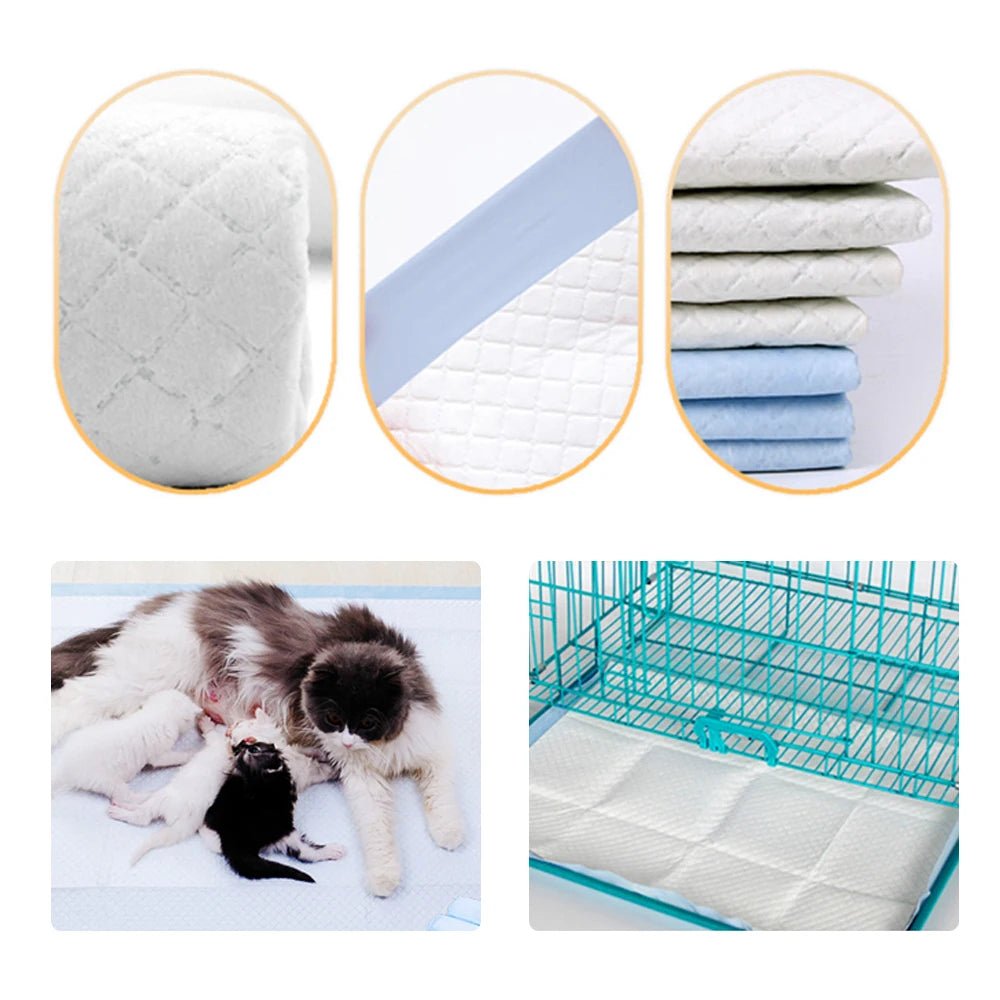 Smell & Smile Training Pads are ultra‑absorbent, leakproof pee pads designed to keep floors clean and help dogs and cats learn where to do their business. - Luxempirez