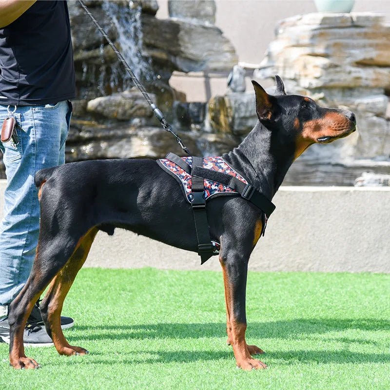Style avec notre harnais exclusif pour chien d'assistance méticuleusement conçu pour les propriétaires d'animaux exigeants qui exigent le meilleur pour leurs compagnons à quatre pattes. Doté d'un design sophistiqué d'inspiration militaire - Luxempirez