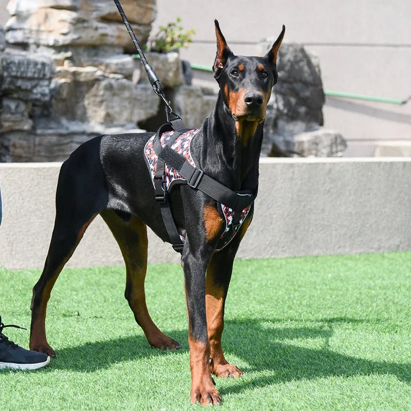 Style avec notre harnais exclusif pour chien d'assistance méticuleusement conçu pour les propriétaires d'animaux exigeants qui exigent le meilleur pour leurs compagnons à quatre pattes. Doté d'un design sophistiqué d'inspiration militaire - Luxempirez