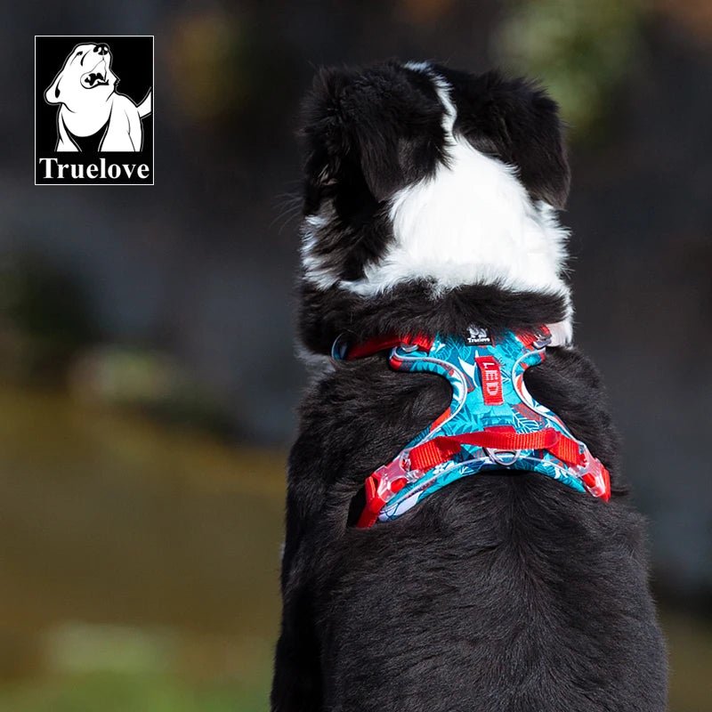 Take your walks to the next level with the Truelove harness! Designed for strength, visibility, and comfort, this vibrant orange harness features reflective strips for safety and adjustable straps for a perfect fit. - Luxempirez
