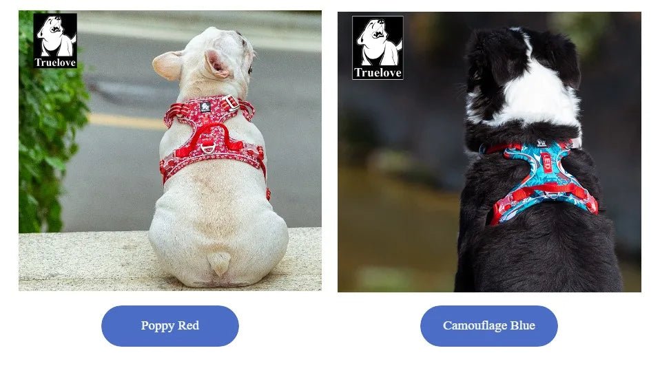 Take your walks to the next level with the Truelove harness! Designed for strength, visibility, and comfort, this vibrant orange harness features reflective strips for safety and adjustable straps for a perfect fit. - Luxempirez