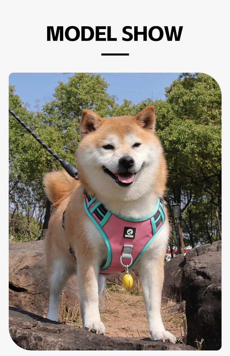 The harness features soft, breathable padding and adjustable straps to give your dog a custom, all - day - comfort fit. Reflective details improve visibility at night, while strong front and back leash clips help reduce pulling and give you better control. - Luxempirez