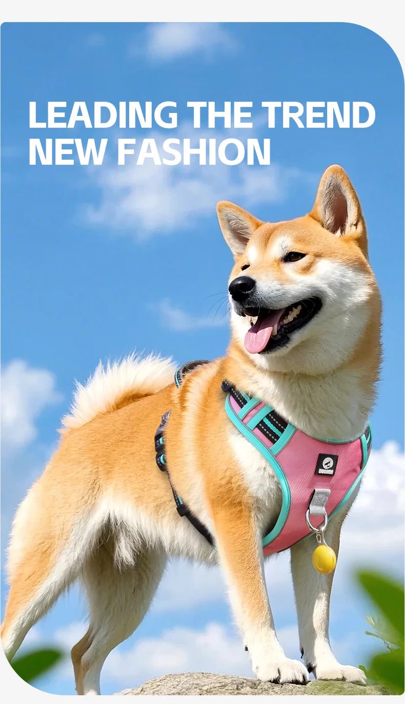 The harness features soft, breathable padding and adjustable straps to give your dog a custom, all - day - comfort fit. Reflective details improve visibility at night, while strong front and back leash clips help reduce pulling and give you better control. - Luxempirez