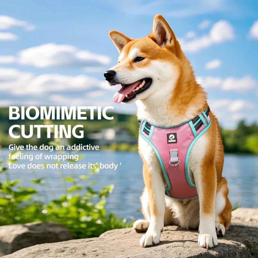 The harness features soft, breathable padding and adjustable straps to give your dog a custom, all - day - comfort fit. Reflective details improve visibility at night, while strong front and back leash clips help reduce pulling and give you better control. - Luxempirez