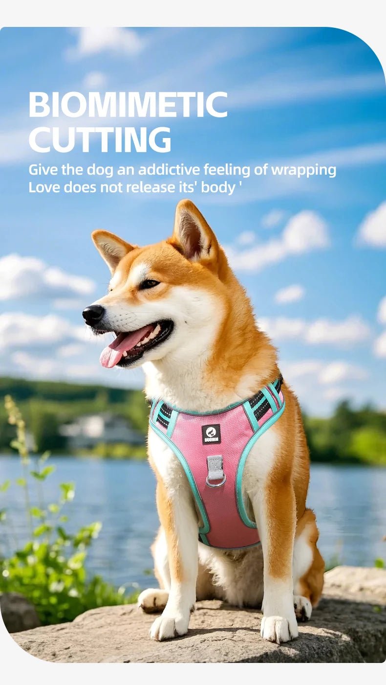 The harness features soft, breathable padding and adjustable straps to give your dog a custom, all - day - comfort fit. Reflective details improve visibility at night, while strong front and back leash clips help reduce pulling and give you better control. - Luxempirez