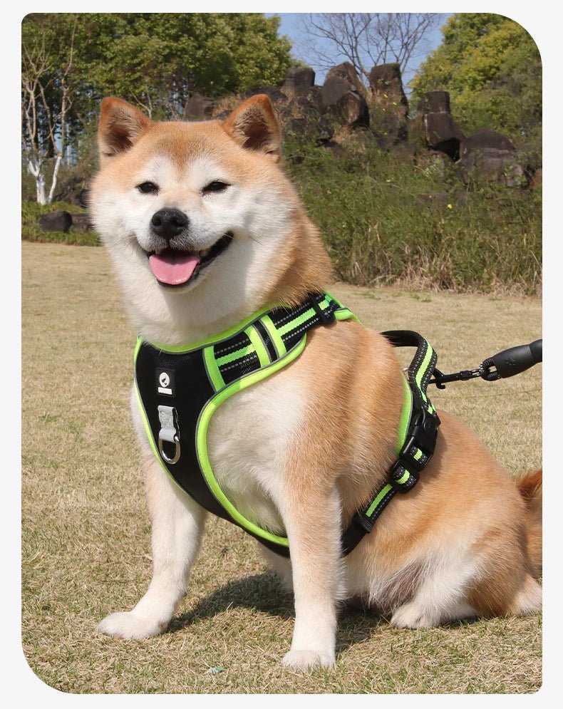 The harness features soft, breathable padding and adjustable straps to give your dog a custom, all - day - comfort fit. Reflective details improve visibility at night, while strong front and back leash clips help reduce pulling and give you better control. - Luxempirez