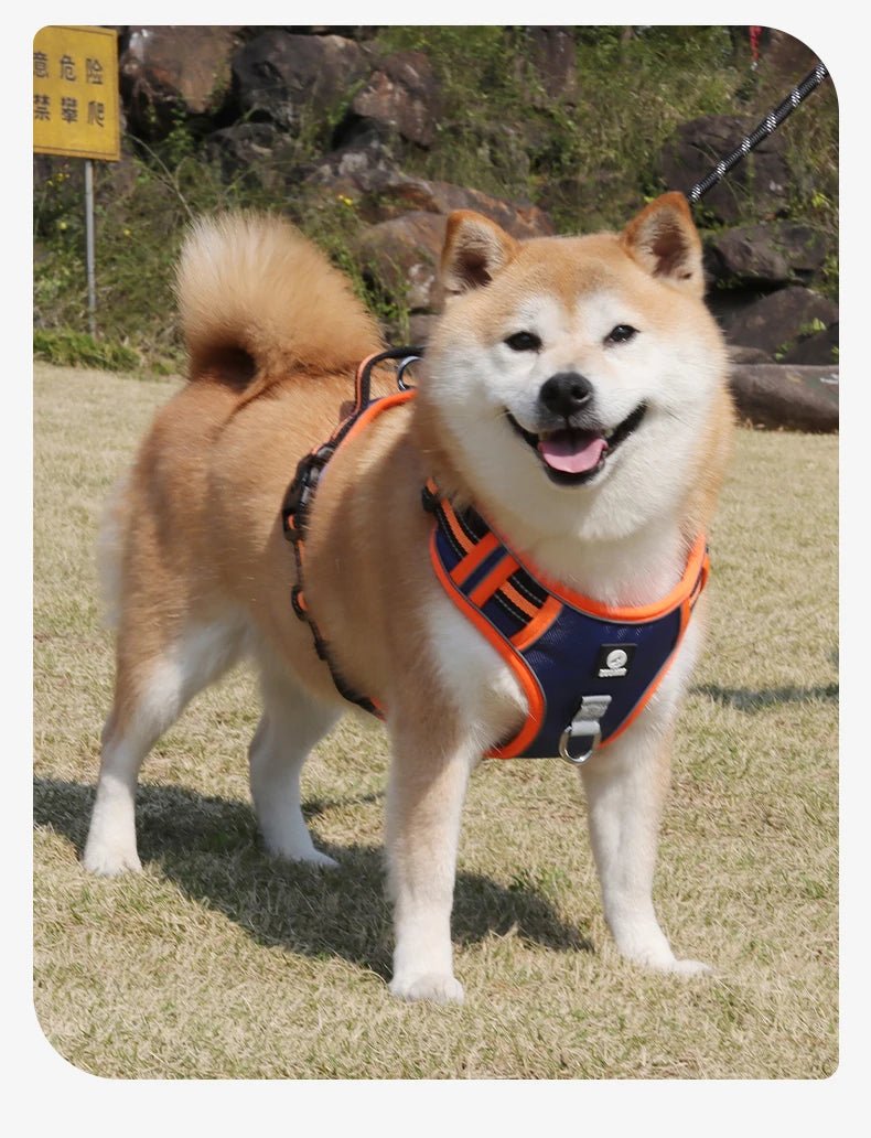 The harness features soft, breathable padding and adjustable straps to give your dog a custom, all - day - comfort fit. Reflective details improve visibility at night, while strong front and back leash clips help reduce pulling and give you better control. - Luxempirez