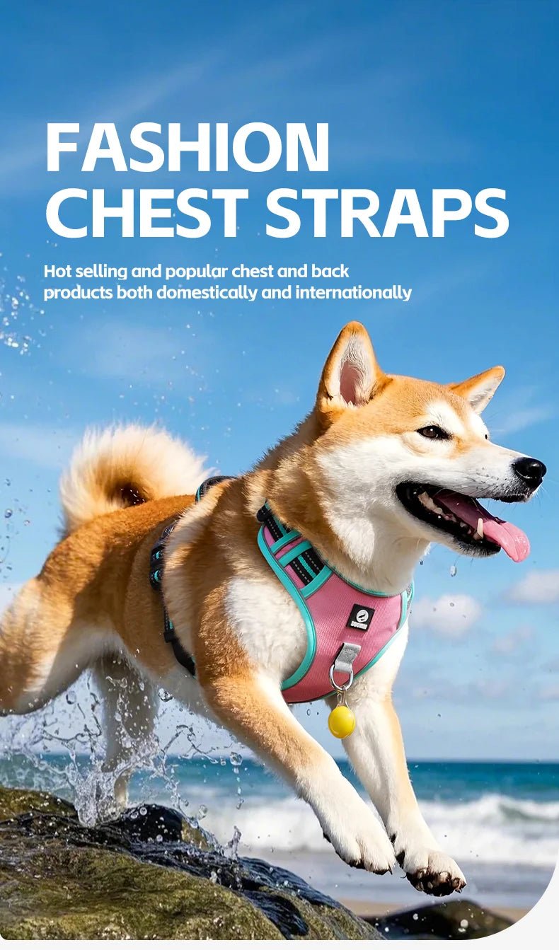 The harness features soft, breathable padding and adjustable straps to give your dog a custom, all - day - comfort fit. Reflective details improve visibility at night, while strong front and back leash clips help reduce pulling and give you better control. - Luxempirez