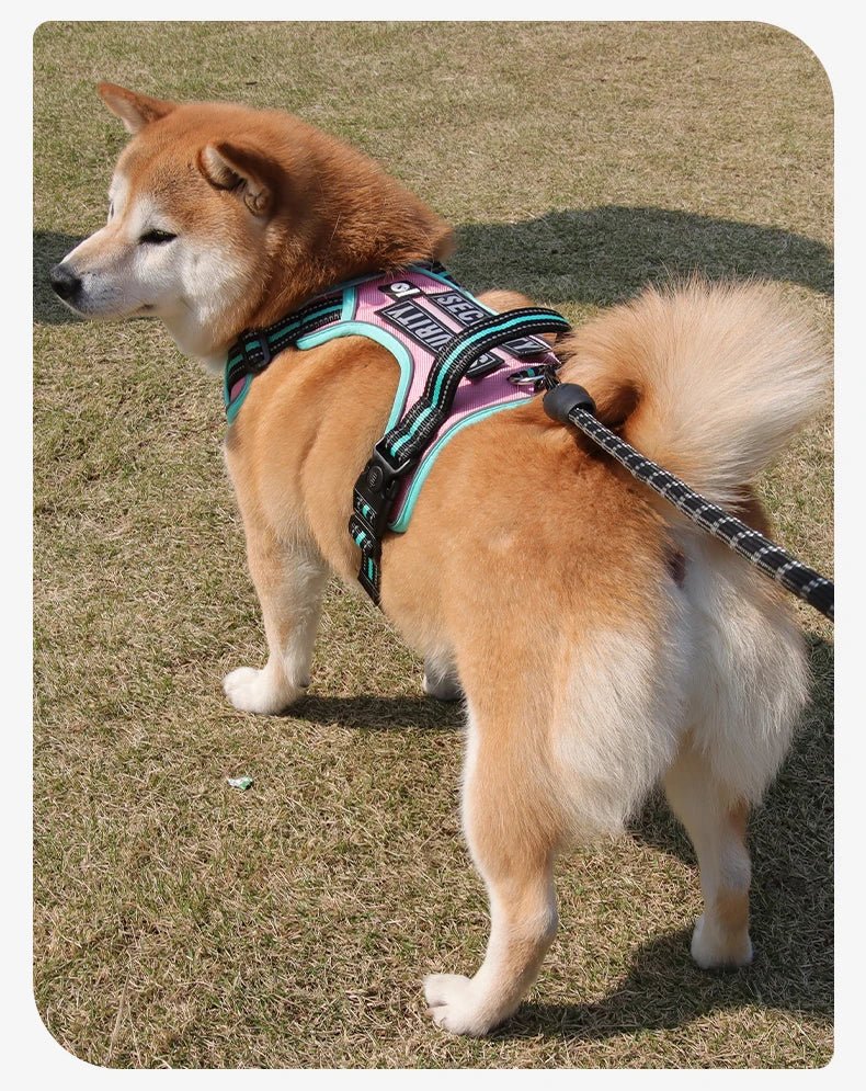 The harness features soft, breathable padding and adjustable straps to give your dog a custom, all - day - comfort fit. Reflective details improve visibility at night, while strong front and back leash clips help reduce pulling and give you better control. - Luxempirez