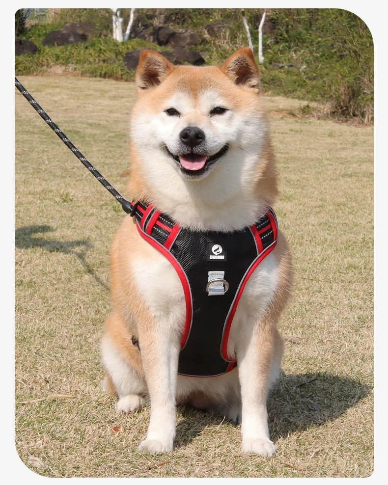 The harness features soft, breathable padding and adjustable straps to give your dog a custom, all - day - comfort fit. Reflective details improve visibility at night, while strong front and back leash clips help reduce pulling and give you better control. - Luxempirez