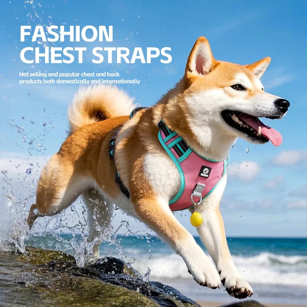 The harness features soft, breathable padding and adjustable straps to give your dog a custom, all - day - comfort fit. Reflective details improve visibility at night, while strong front and back leash clips help reduce pulling and give you better control. - Luxempirez