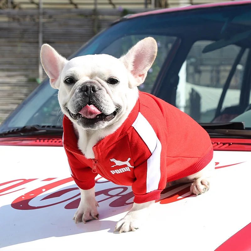 This luxury dog jacket transforms your pet into the icon of street style and comfort. Crafted for those who demand elegance and boldness, the vivid red design embraces both warmth and personality, ensuring every walk is a moment worth capturing - Luxempirez