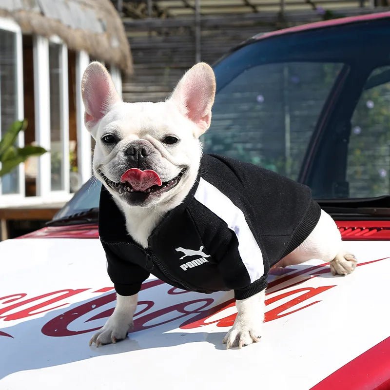 This luxury dog jacket transforms your pet into the icon of street style and comfort. Crafted for those who demand elegance and boldness, the vivid red design embraces both warmth and personality, ensuring every walk is a moment worth capturing - Luxempirez