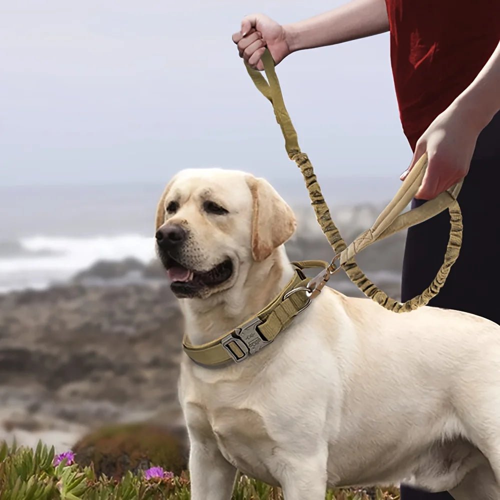 This military - style dog collar combines strength and comfort for your loyal companion. Crafted from premium, wear - resistant nylon with a secure metal buckle, it ensures stability during walks, training, or outdoor adventures - Luxempirez