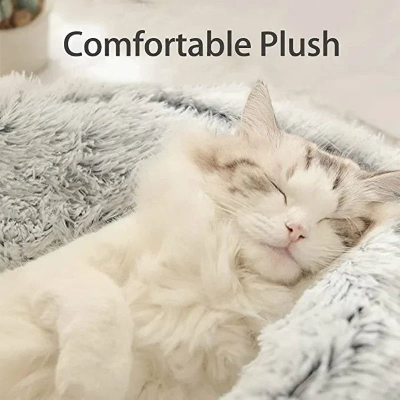 This product is a cozy winter cat cave/bed, so the text should focus on warmth, comfort, security and 2‑in‑1 design for cats and small dogs. - Luxempirez