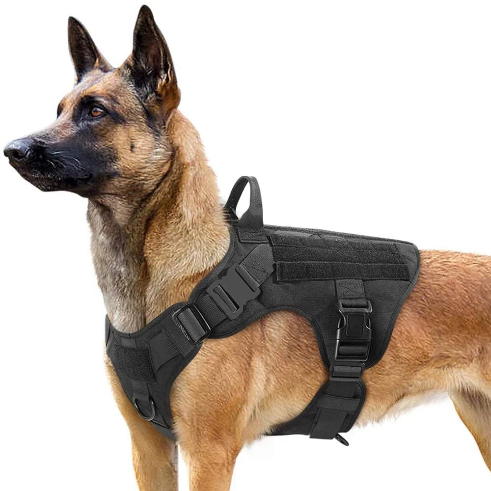 This tactical dog harness set is designed for maximum durability and comfort. Made from high - quality, tear - resistant materials, it features heavy - duty buckles and reinforced stitching to handle even the most active dogs. - Luxempirez