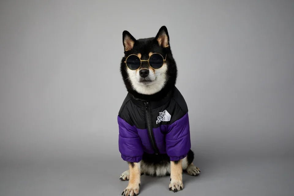 This "The Dog Fans" jacket blends luxury and elegance for your four - legged friend. Made from premium materials, it delivers outstanding comfort while elevating your dog's style on every walk. - Luxempirez