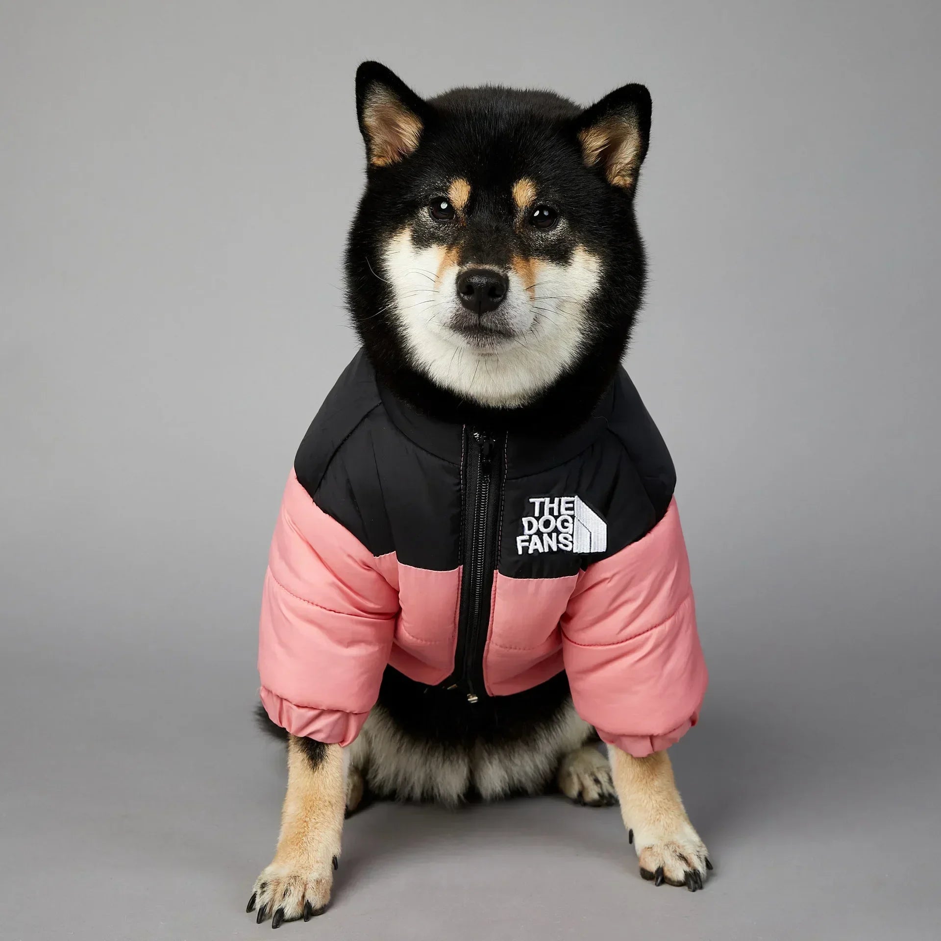 This "The Dog Fans" jacket blends luxury and elegance for your four - legged friend. Made from premium materials, it delivers outstanding comfort while elevating your dog's style on every walk. - Luxempirez