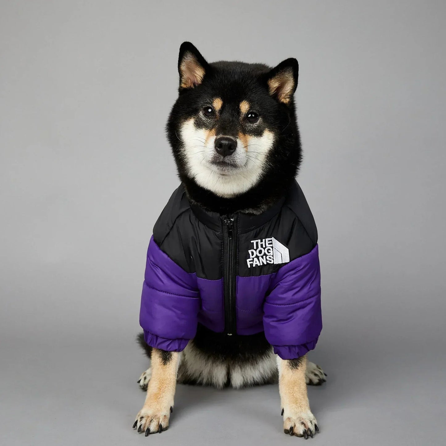 This "The Dog Fans" jacket blends luxury and elegance for your four - legged friend. Made from premium materials, it delivers outstanding comfort while elevating your dog's style on every walk. - Luxempirez