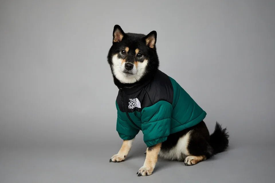 This "The Dog Fans" jacket blends luxury and elegance for your four - legged friend. Made from premium materials, it delivers outstanding comfort while elevating your dog's style on every walk. - Luxempirez