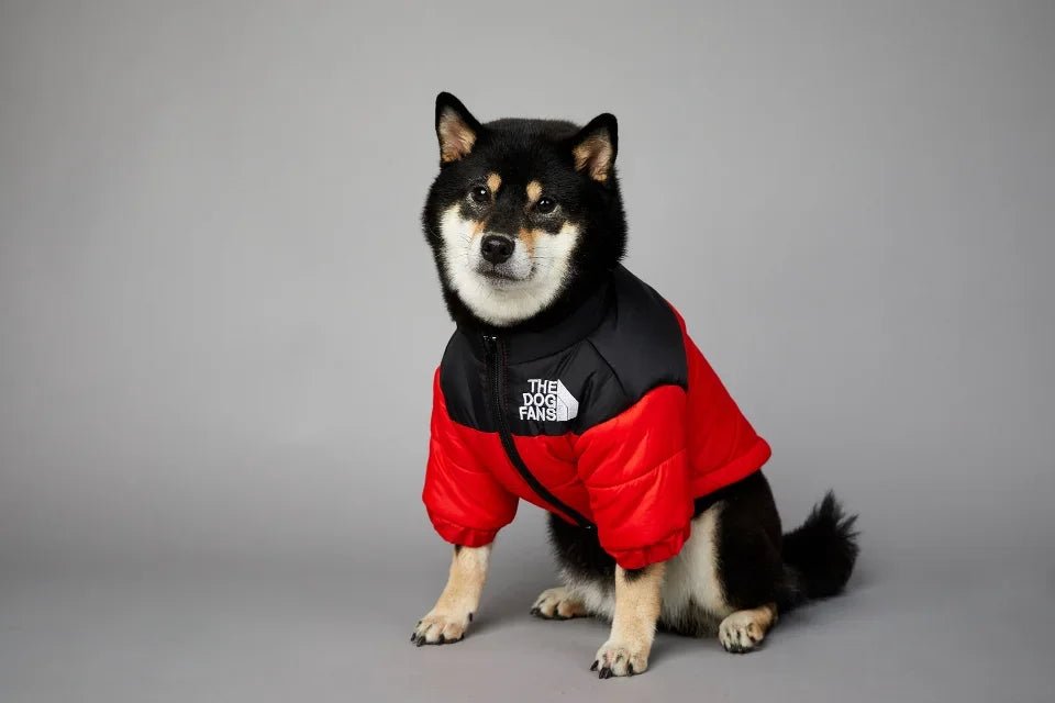 This "The Dog Fans" jacket blends luxury and elegance for your four - legged friend. Made from premium materials, it delivers outstanding comfort while elevating your dog's style on every walk. - Luxempirez