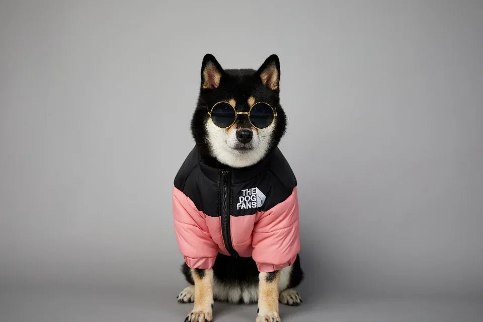 This "The Dog Fans" jacket blends luxury and elegance for your four - legged friend. Made from premium materials, it delivers outstanding comfort while elevating your dog's style on every walk. - Luxempirez